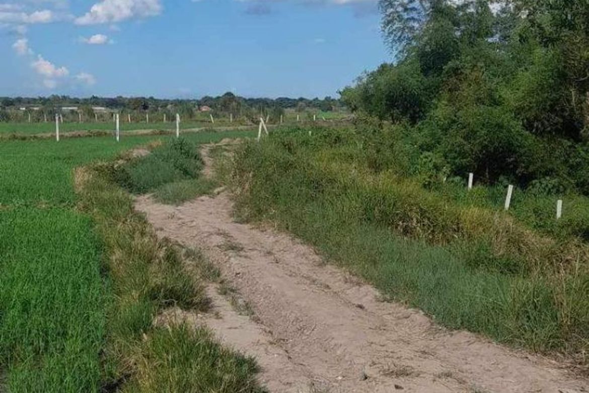 Land for Sale in Santo Domingo 2nd, Capas, Tarlac – photo 4