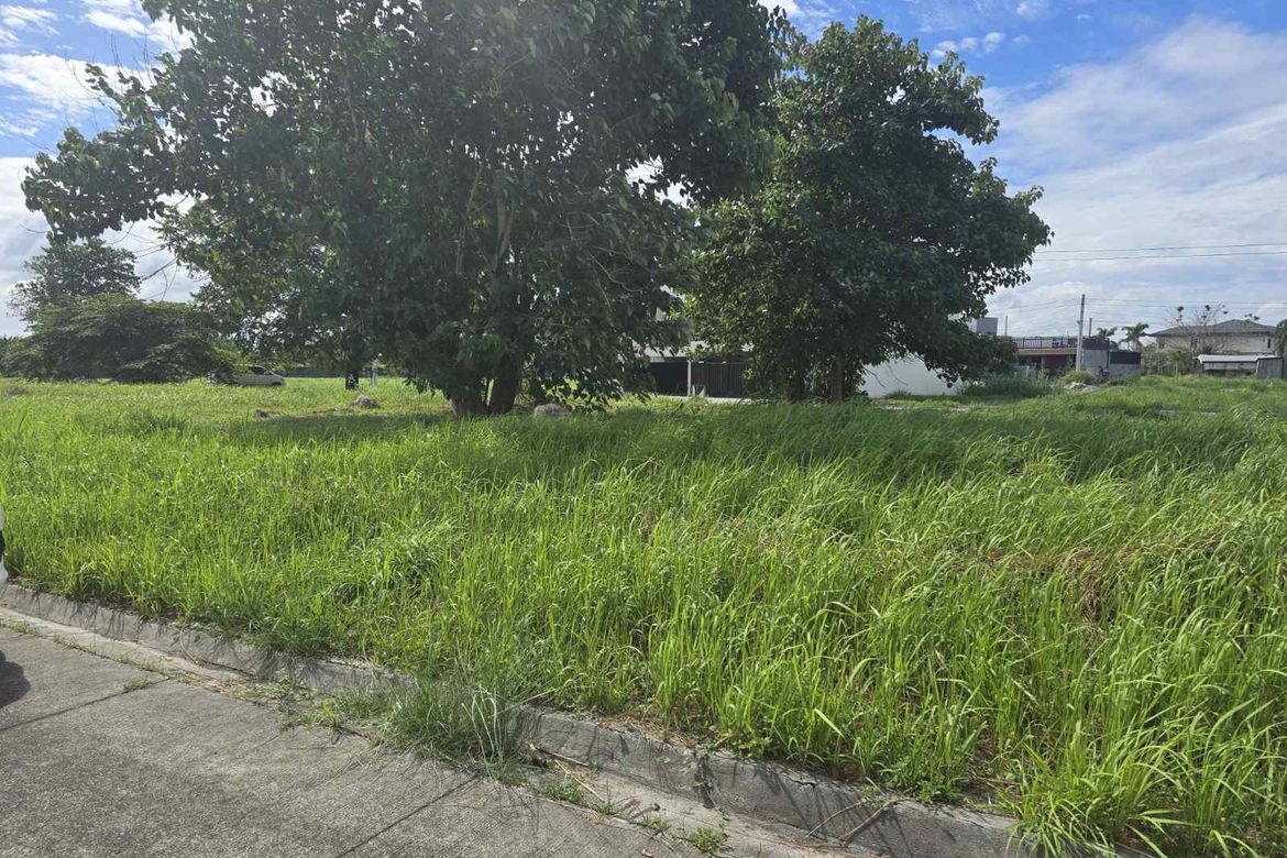 Land for Sale in Santo Domingo, Angeles, Pampanga