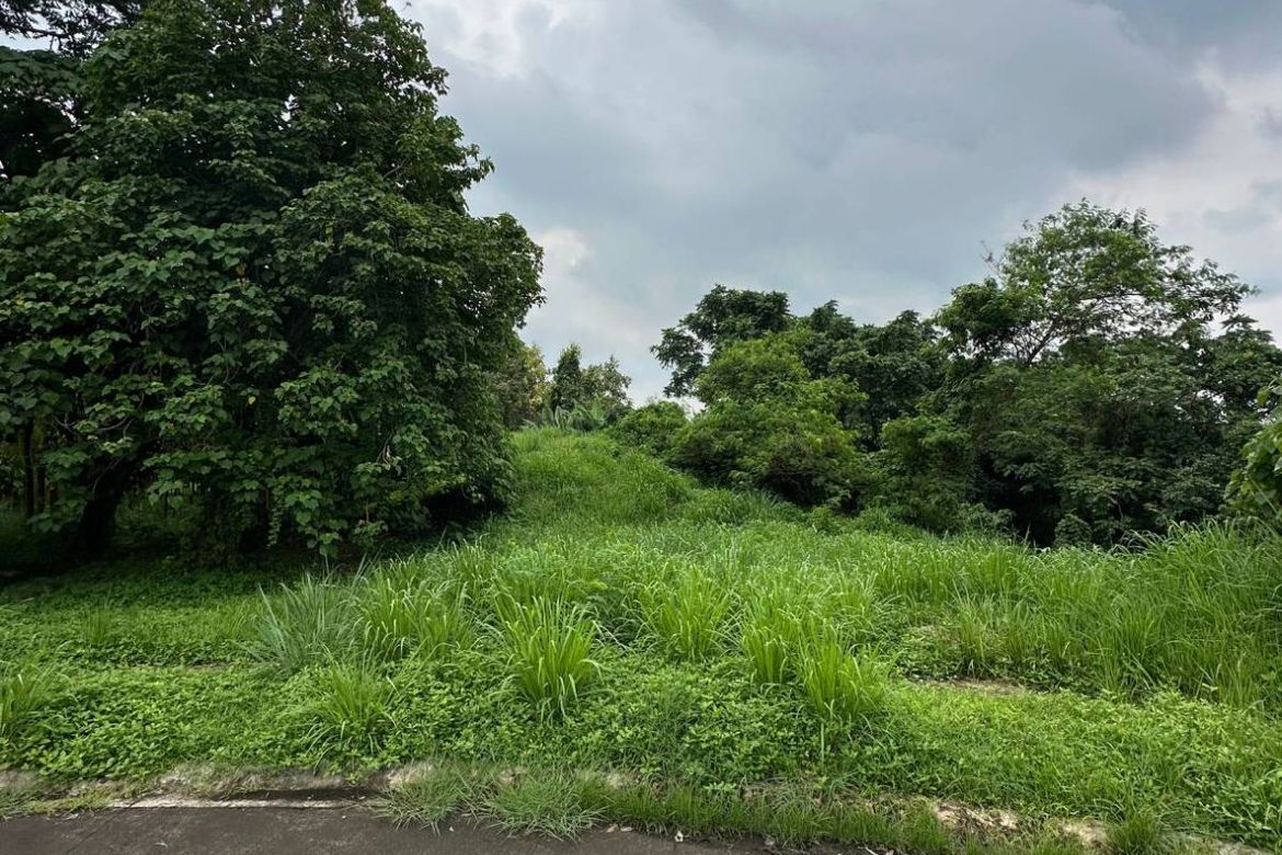 Land for Sale in Santo Domingo, Biñan, Laguna