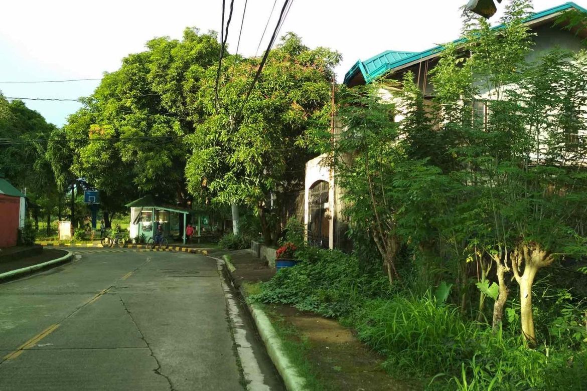 Land for Sale in Santo Domingo, Cainta, Rizal