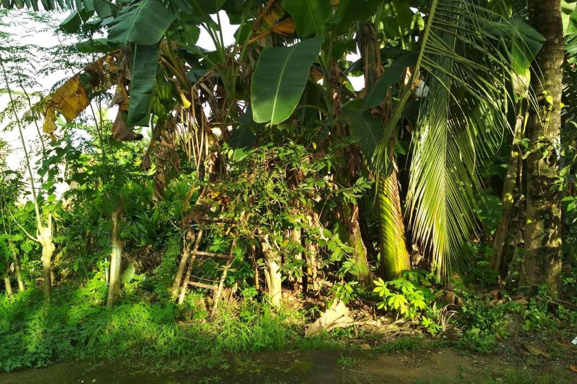 Land for Sale in Santo Domingo, Cainta, Rizal – photo 2
