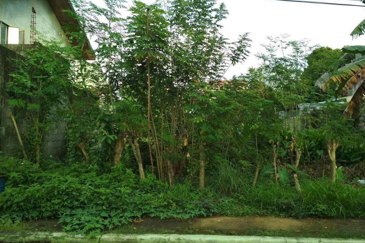 Land for Sale in Santo Domingo, Cainta, Rizal – photo 3