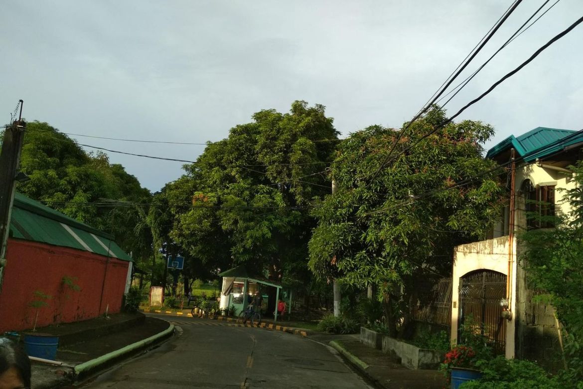 Land for Sale in Santo Domingo, Cainta, Rizal – photo 5