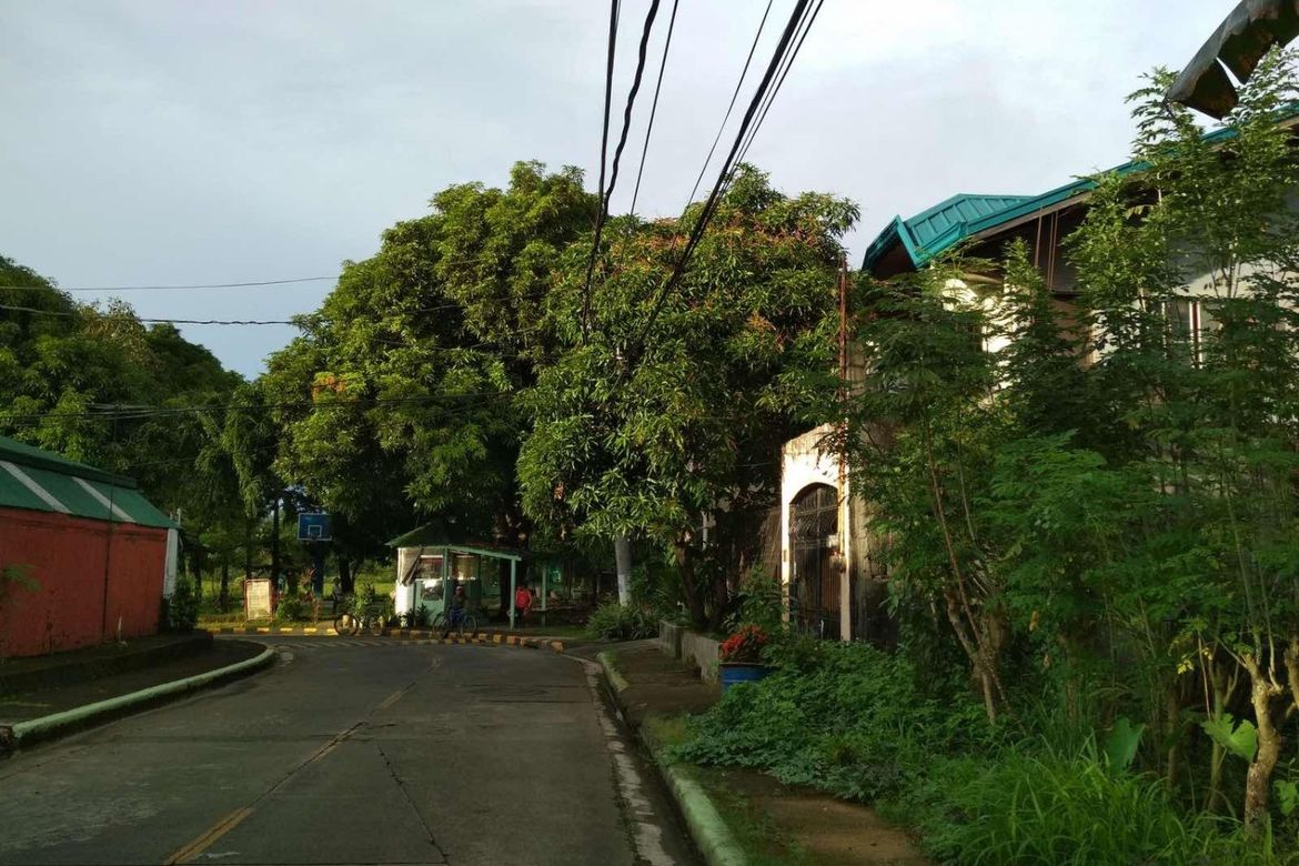 Land for Sale in Santo Domingo, Cainta, Rizal – photo 6