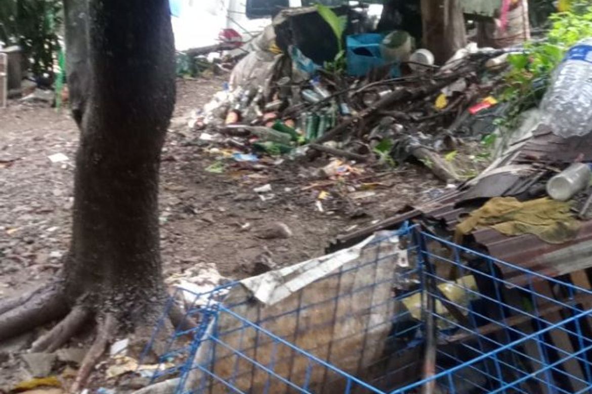 Land for Sale in Santo Domingo, Cainta, Rizal
