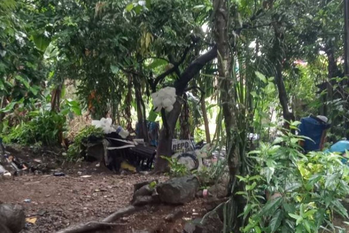 Land for Sale in Santo Domingo, Cainta, Rizal – photo 5