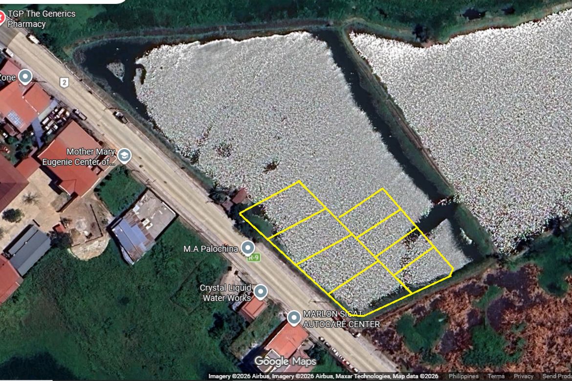 Land for Sale in Santo Domingo, Minalin, Pampanga