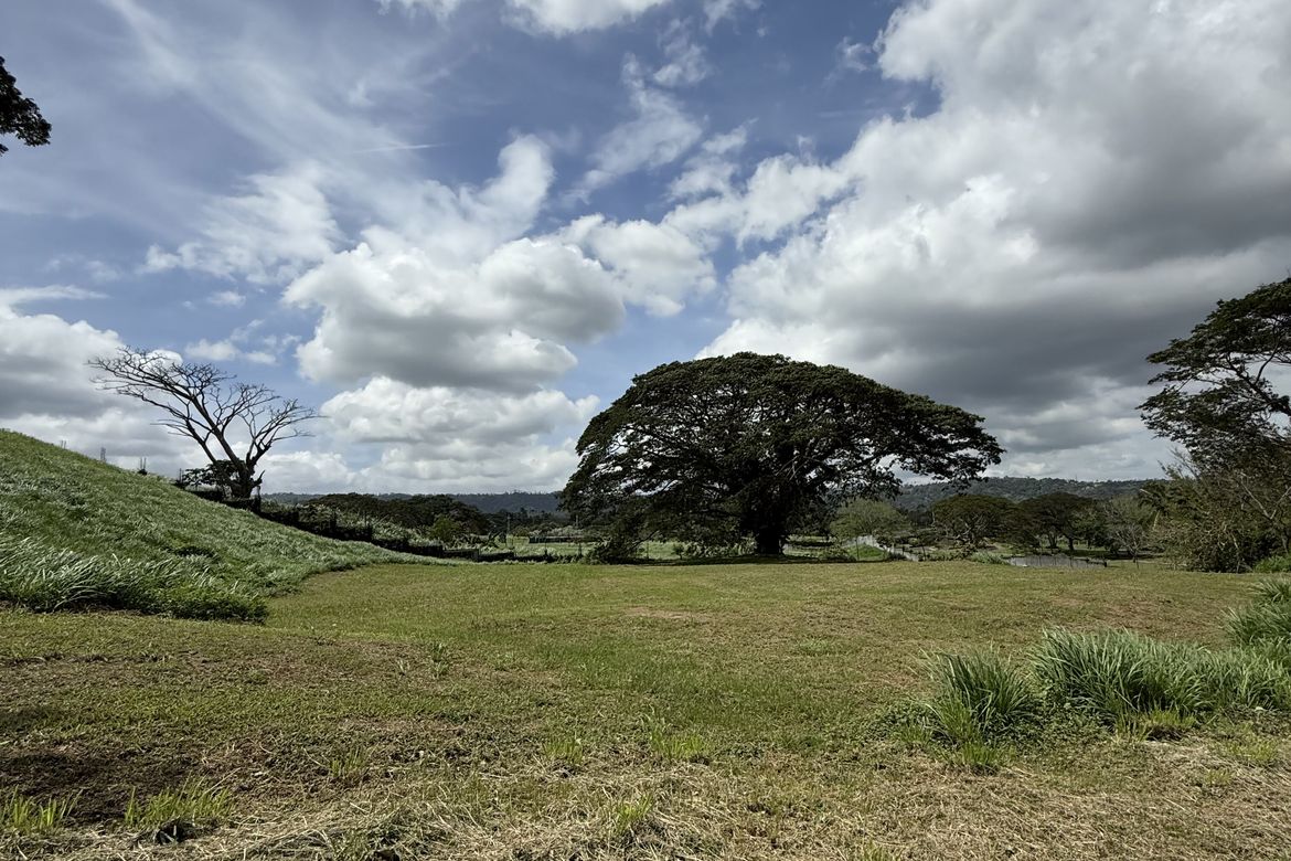 Land for Sale in Santo Domingo, Santa Rosa, Laguna – photo 3
