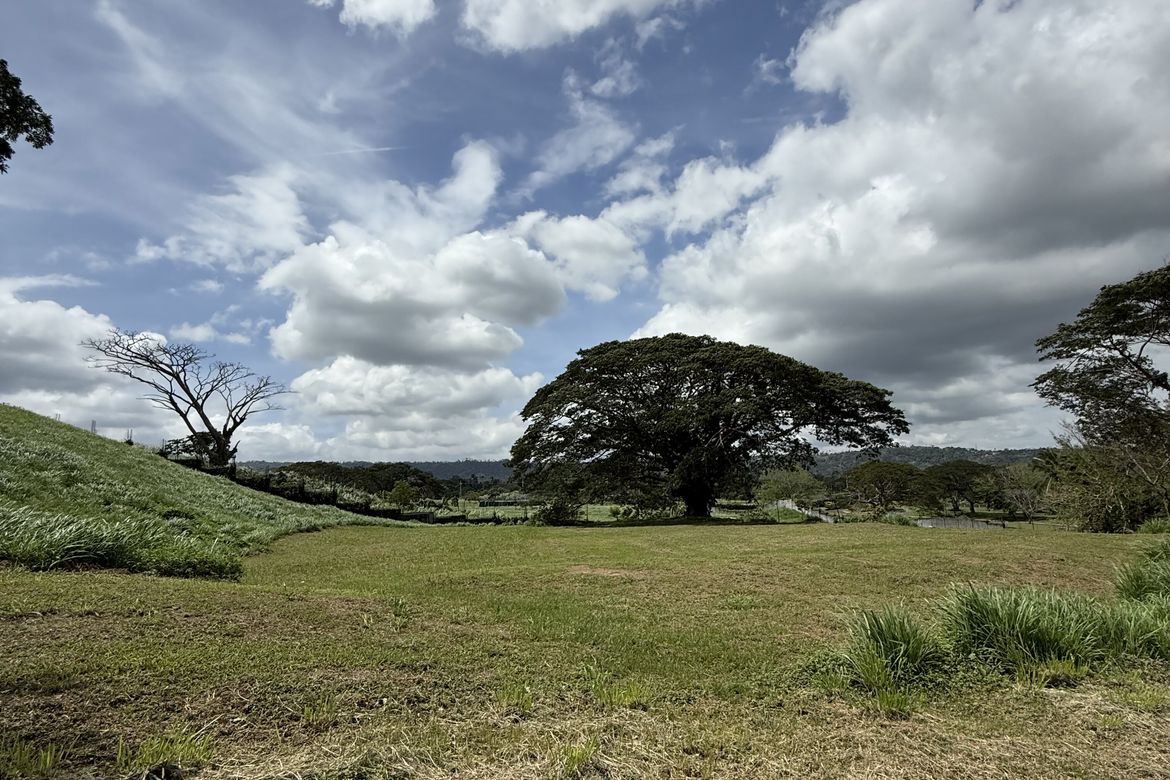 Land for Sale in Santo Domingo, Santa Rosa, Laguna – photo 4