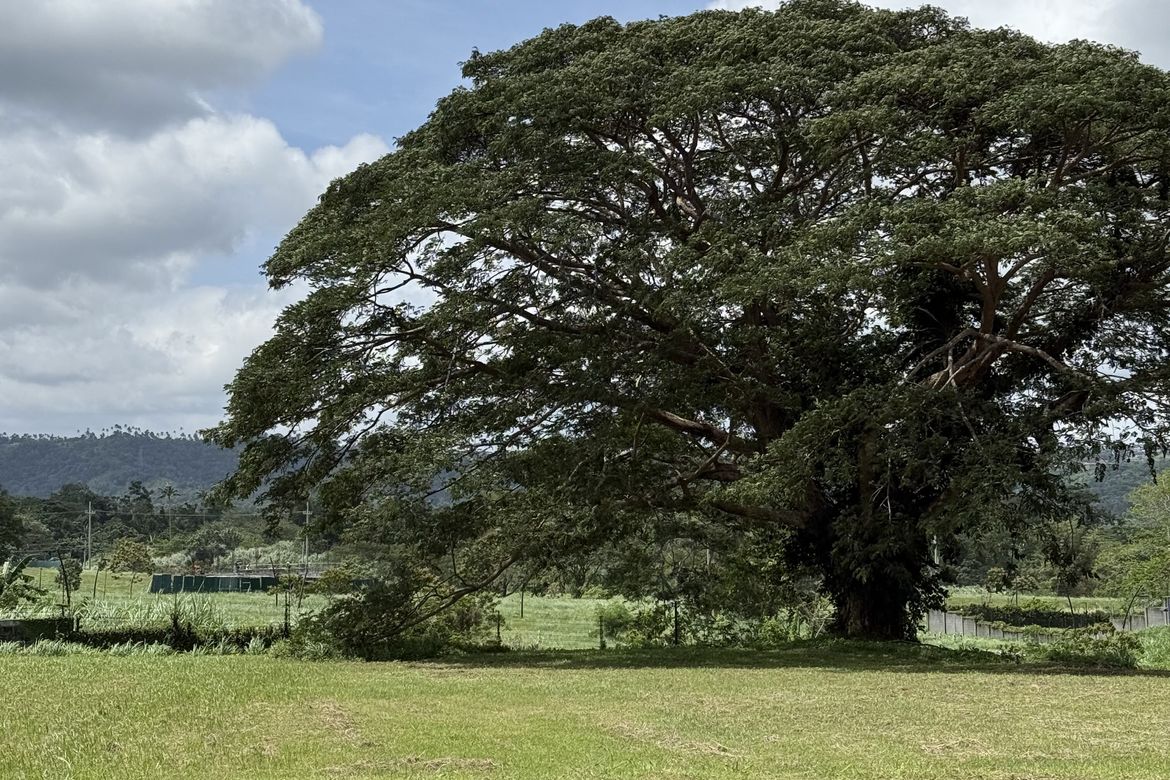 Land for Sale in Santo Domingo, Santa Rosa, Laguna – photo 5