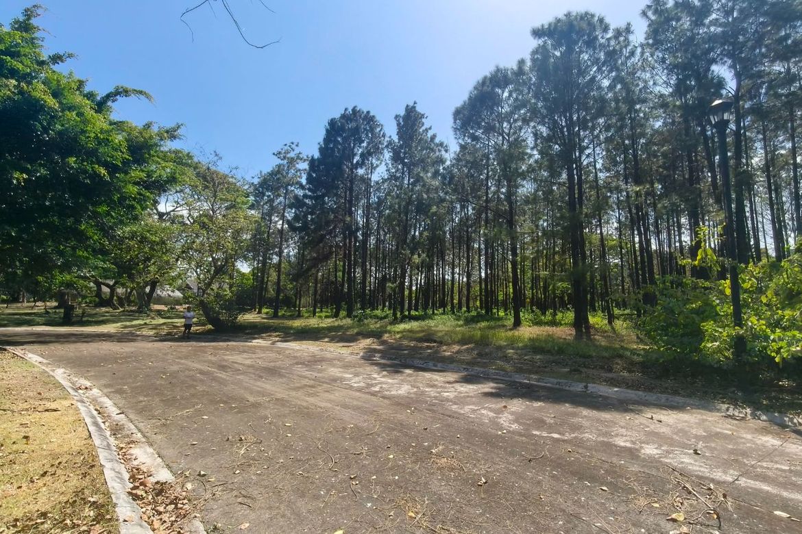 Land for Sale in Santo Domingo, Santa Rosa, Laguna – photo 2