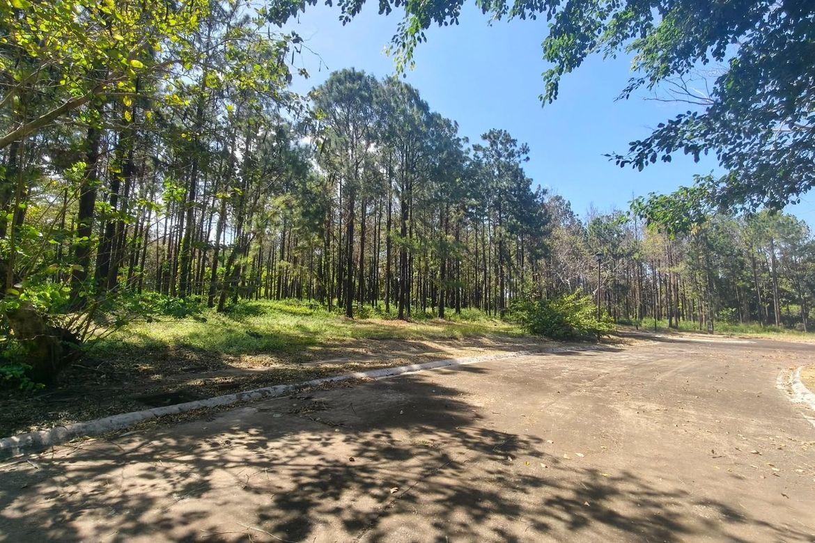 Land for Sale in Santo Domingo, Santa Rosa, Laguna – photo 3