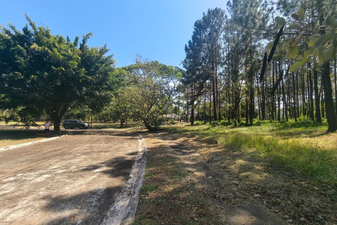 Land for Sale in Santo Domingo, Santa Rosa, Laguna – photo 5