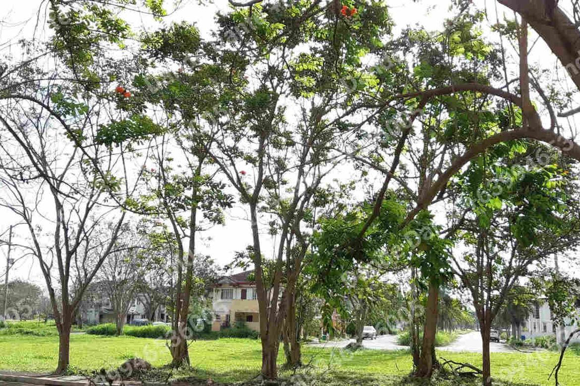 Land for Sale in Santo Domingo, Santa Rosa, Laguna – photo 6