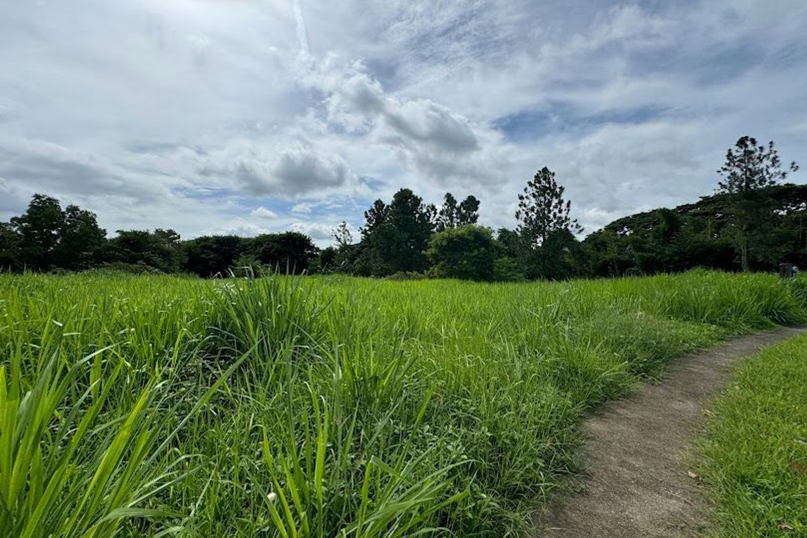 Land for Sale in Santo Domingo, Santa Rosa, Laguna – photo 2