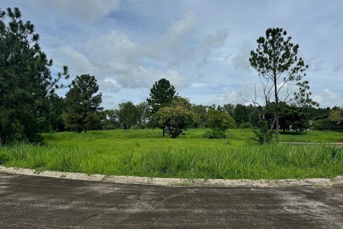 Land for Sale in Santo Domingo, Santa Rosa, Laguna – photo 5