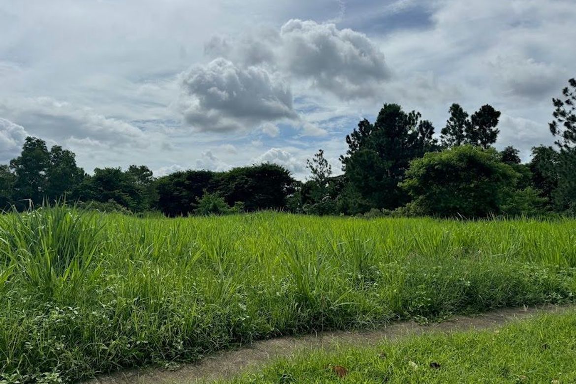 Land for Sale in Santo Domingo, Santa Rosa, Laguna – photo 6