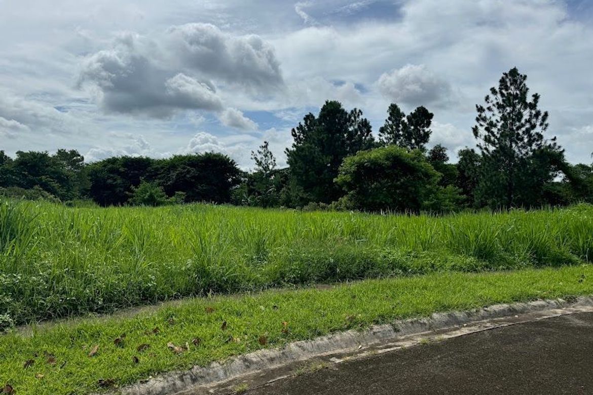 Land for Sale in Santo Domingo, Santa Rosa, Laguna – photo 8