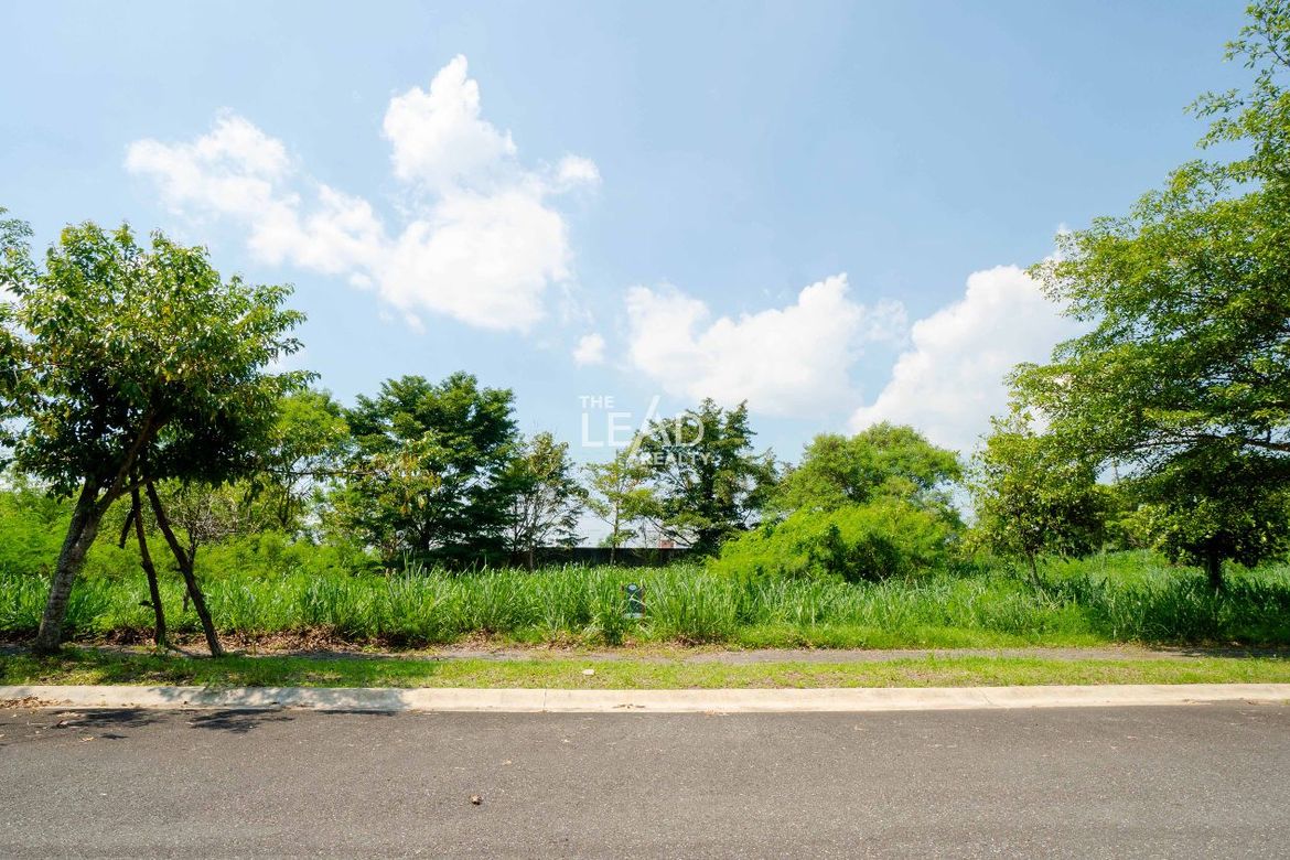 Land for Sale in Santo Domingo, Santa Rosa, Laguna