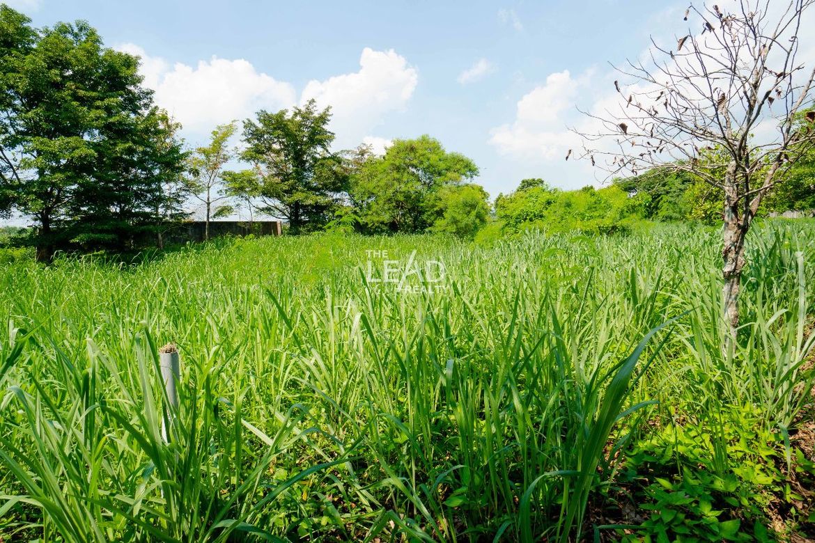 Land for Sale in Santo Domingo, Santa Rosa, Laguna – photo 3