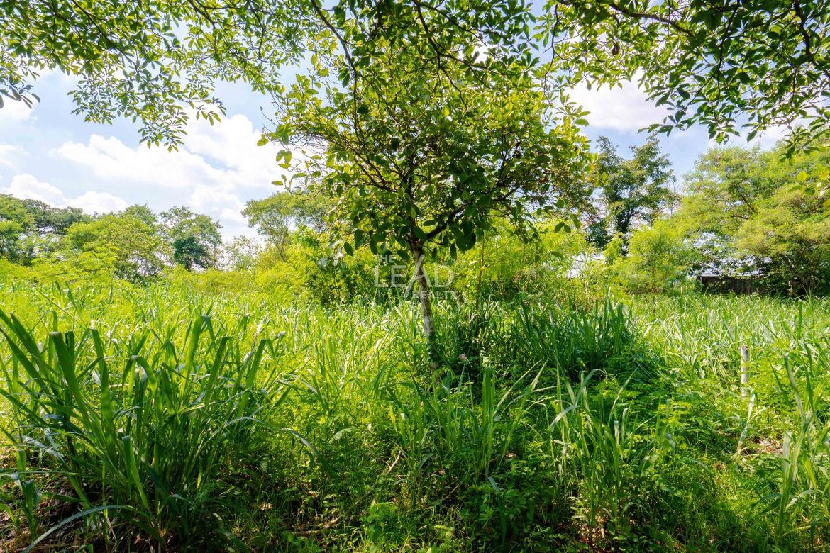 Land for Sale in Santo Domingo, Santa Rosa, Laguna – photo 4