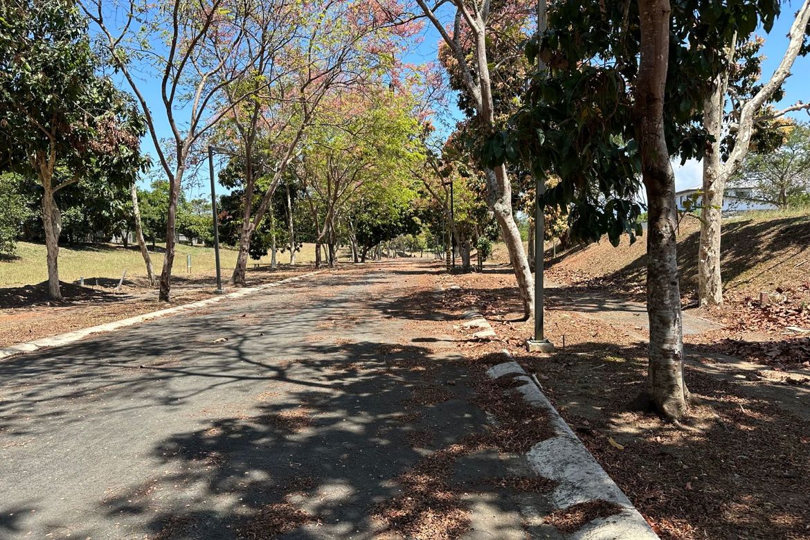 Land for Sale in Santo Domingo, Santa Rosa, Laguna – photo 3