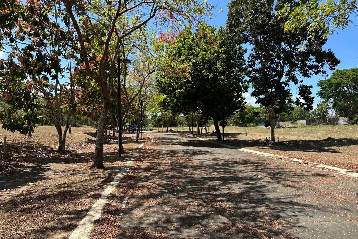 Land for Sale in Santo Domingo, Santa Rosa, Laguna – photo 4