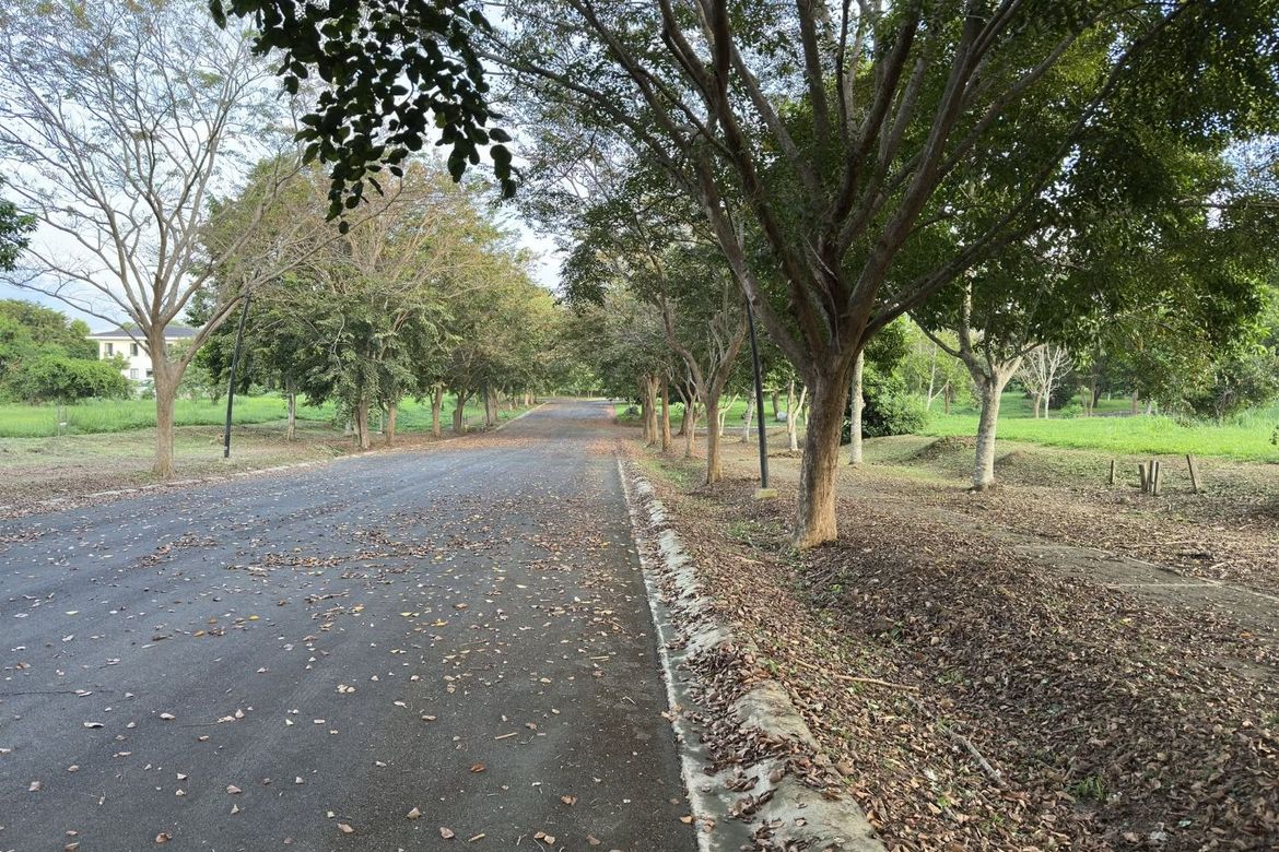Land for Sale in Santo Domingo, Santa Rosa, Laguna – photo 2