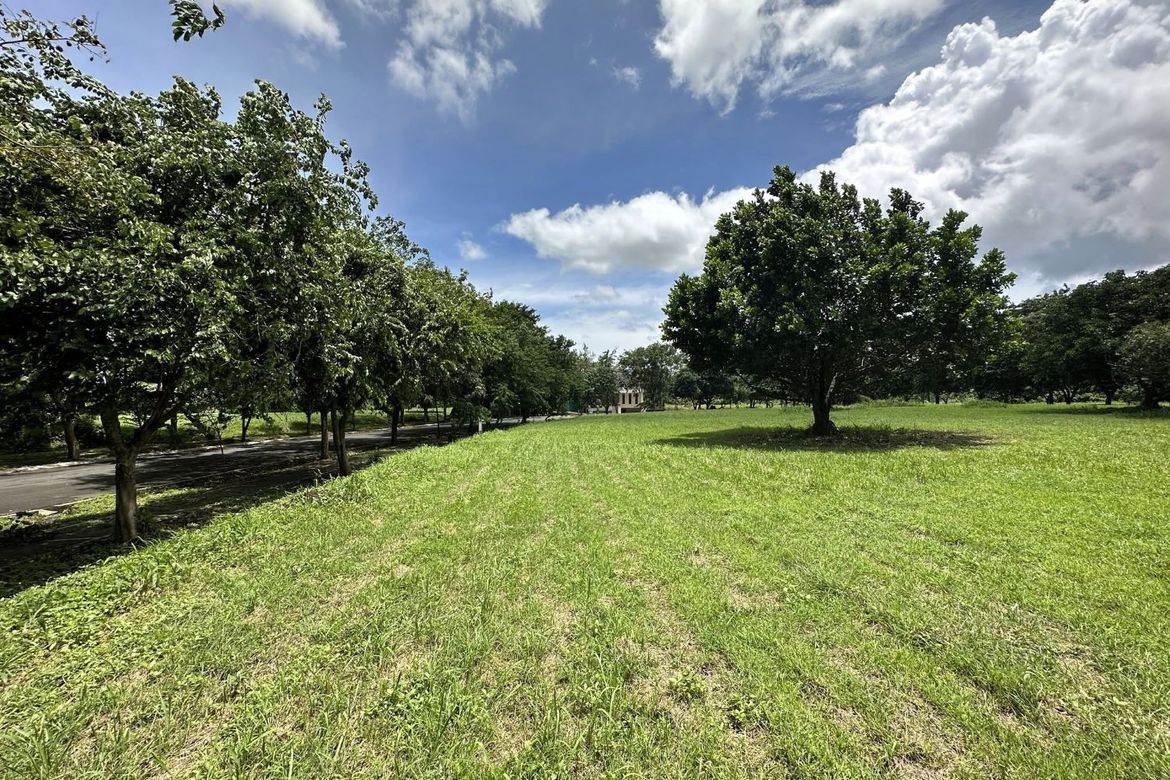 Land for Sale in Santo Domingo, Santa Rosa, Laguna – photo 3