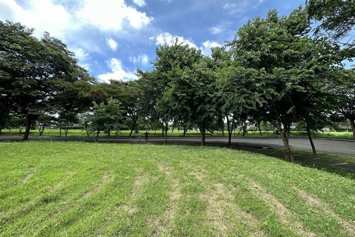 Land for Sale in Santo Domingo, Santa Rosa, Laguna – photo 5