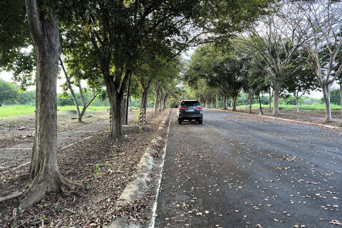 Land for Sale in Santo Domingo, Santa Rosa, Laguna – photo 6