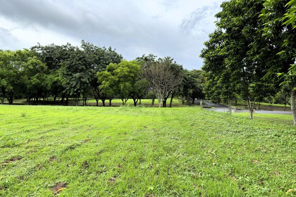 Land for Sale in Santo Domingo, Santa Rosa, Laguna – photo 8