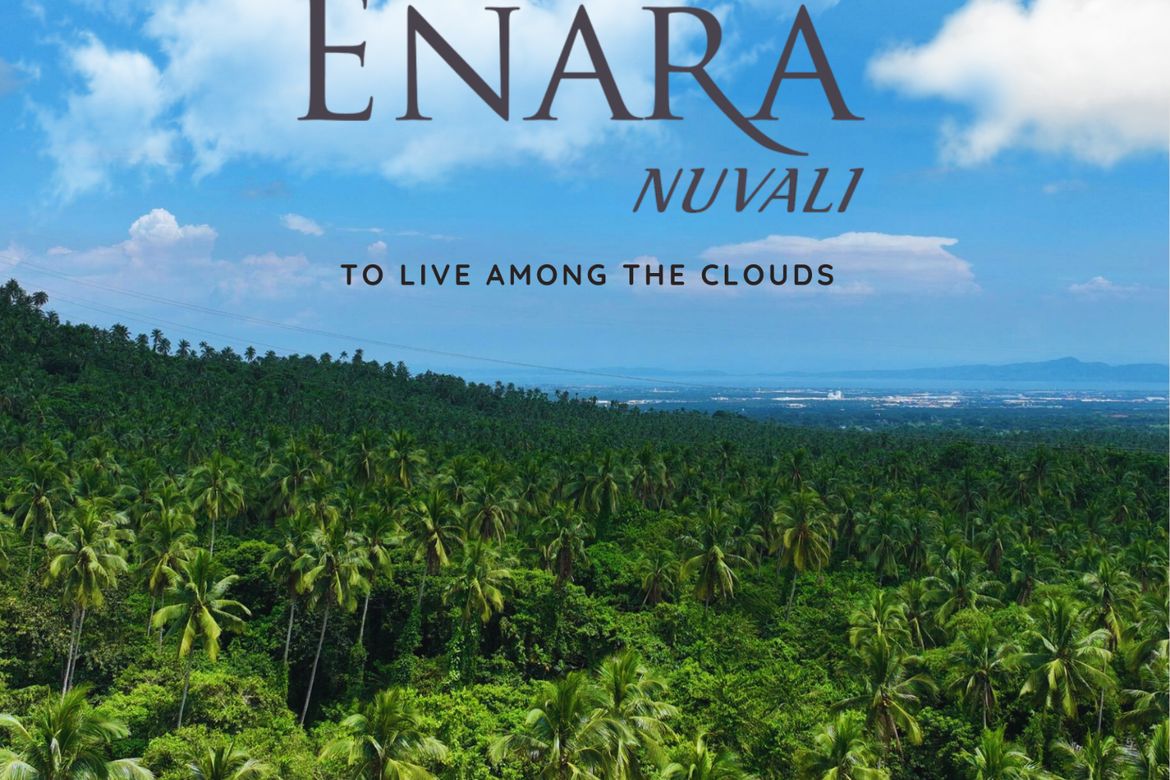 Land for Sale in Santo Domingo, Santa Rosa, Laguna