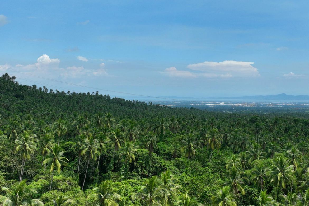 Land for Sale in Santo Domingo, Santa Rosa, Laguna – photo 8