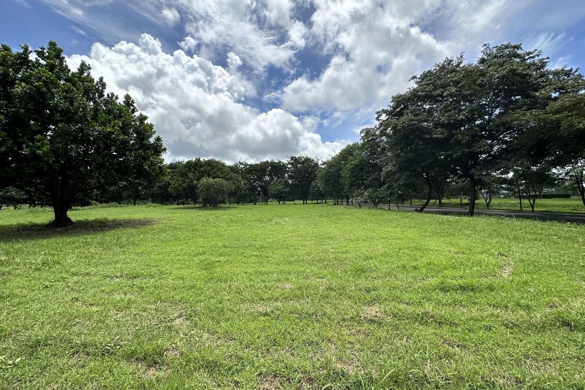 Land for Sale in Santo Domingo, Santa Rosa, Laguna – photo 2