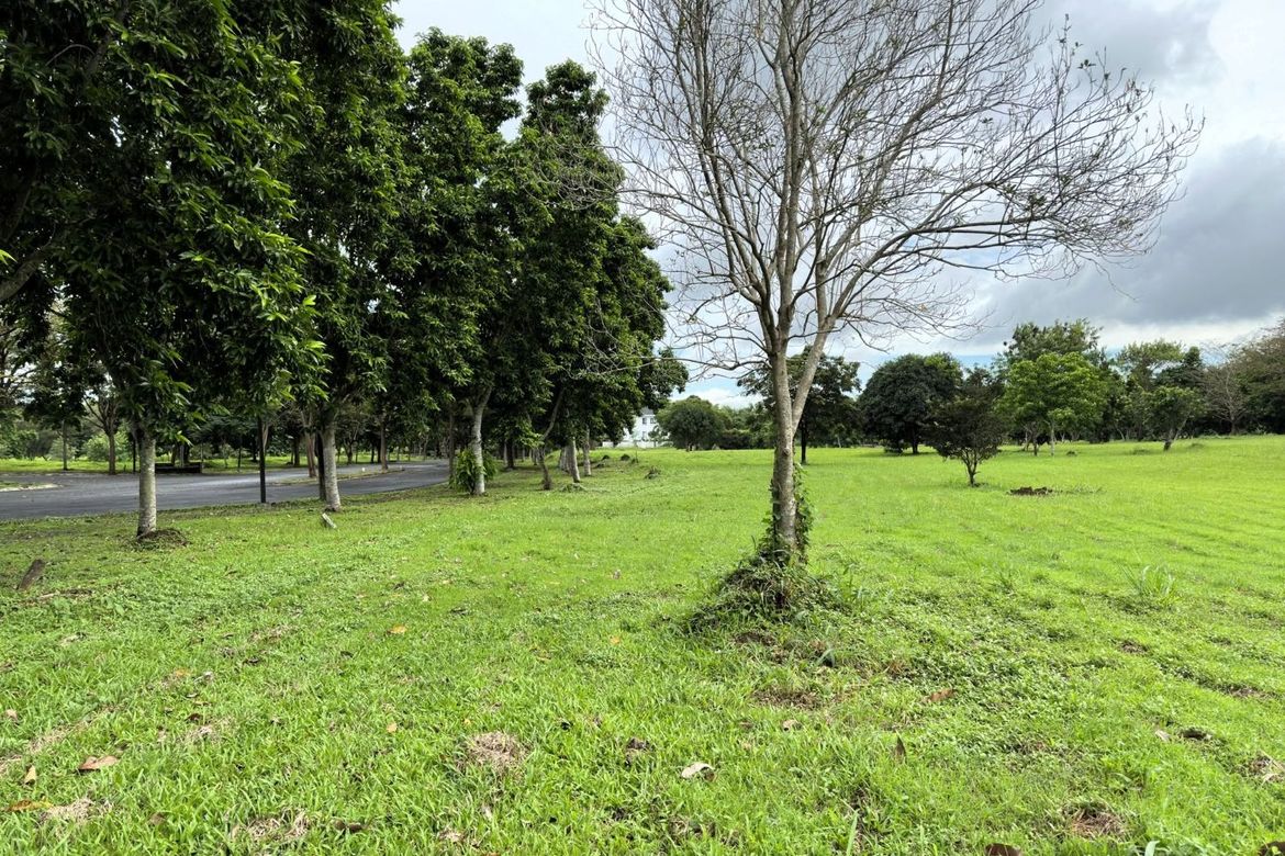 Land for Sale in Santo Domingo, Santa Rosa, Laguna – photo 4