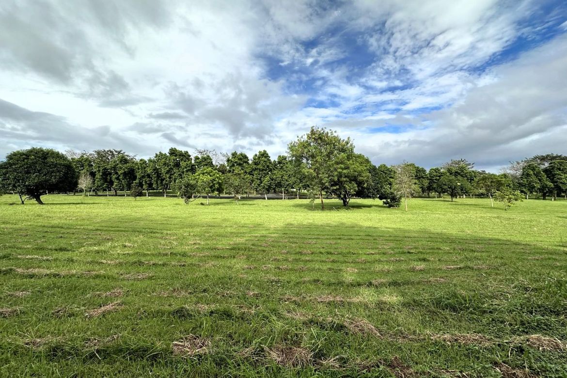Land for Sale in Santo Domingo, Santa Rosa, Laguna – photo 5