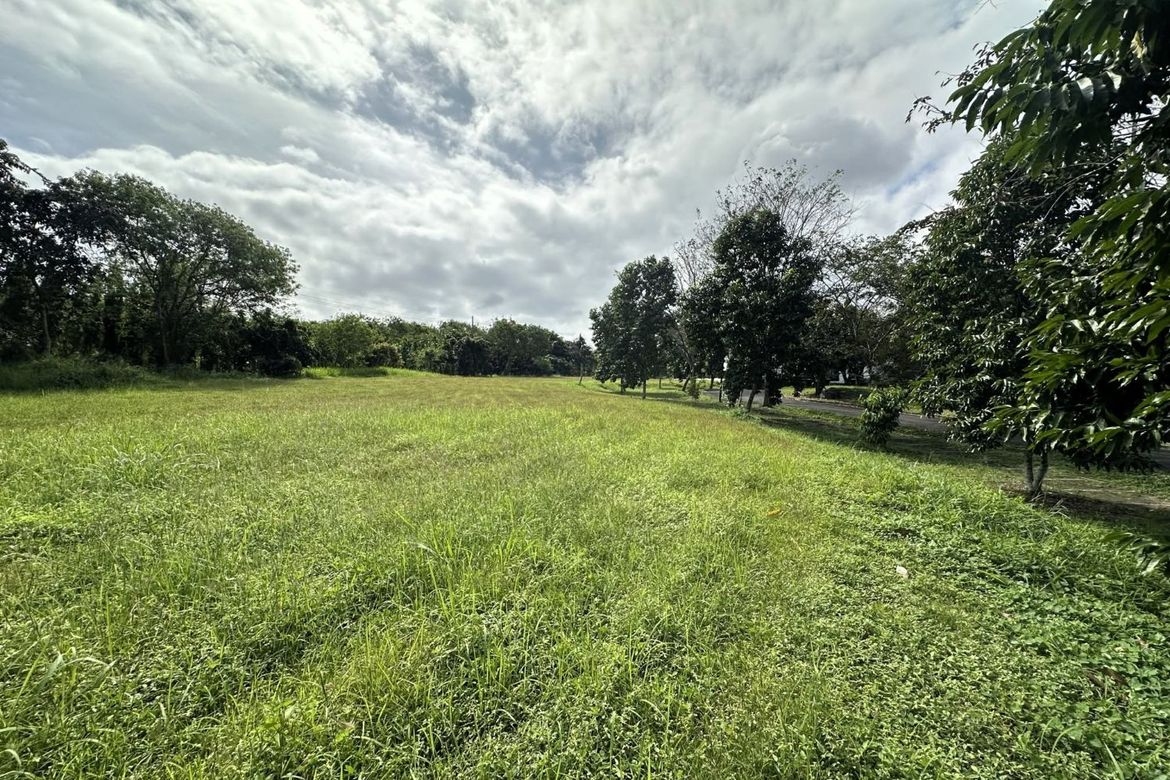 Land for Sale in Santo Domingo, Santa Rosa, Laguna – photo 6