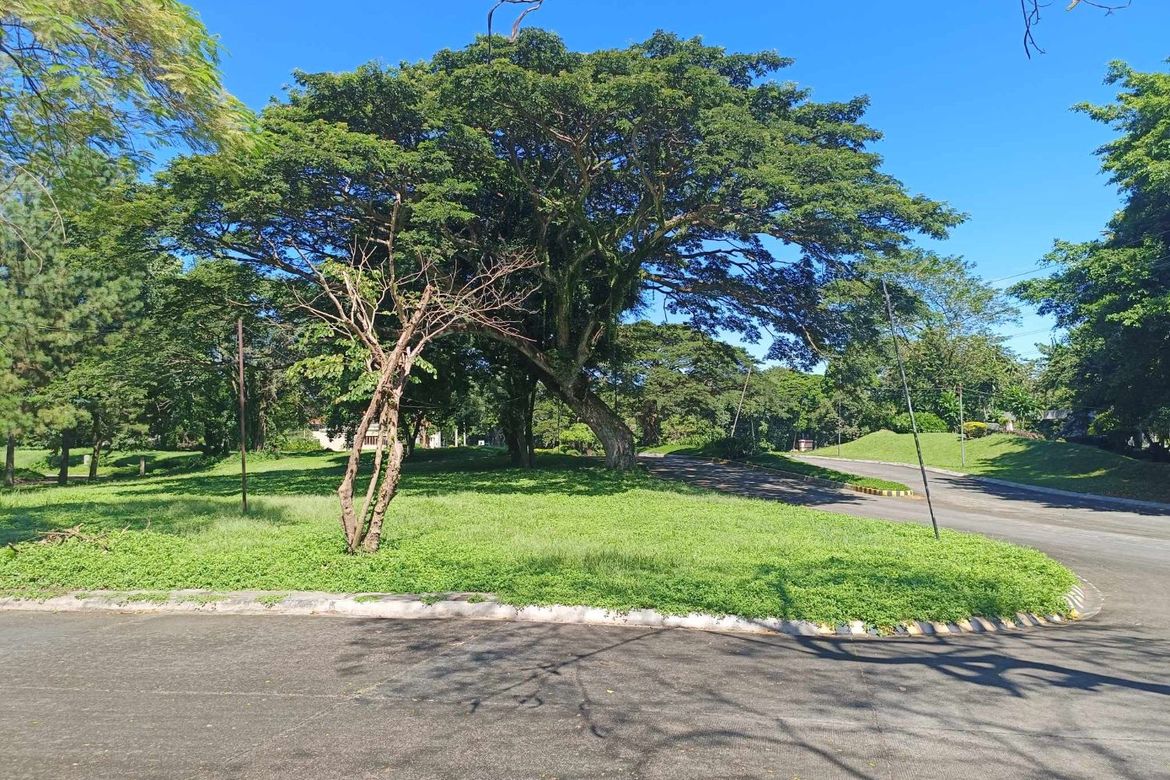 Land for Sale in Santo Domingo, Santa Rosa, Laguna – photo 2
