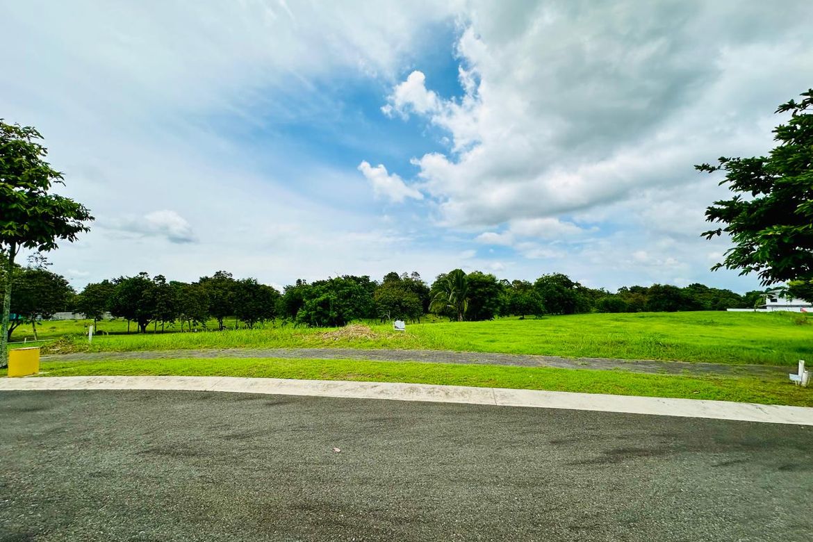 Land for Sale in Santo Domingo, Santa Rosa, Laguna – photo 4