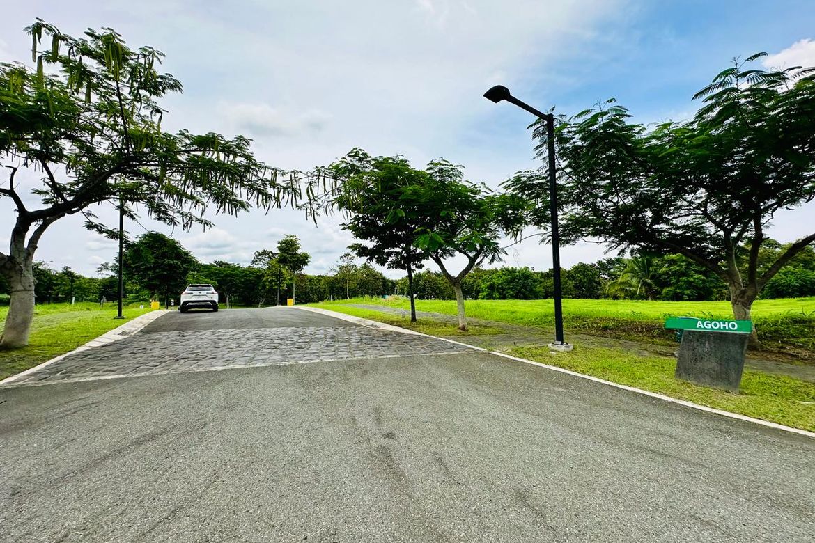 Land for Sale in Santo Domingo, Santa Rosa, Laguna – photo 5