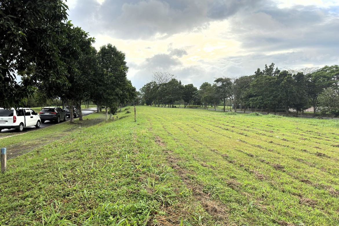 Land for Sale in Santo Domingo, Santa Rosa, Laguna – photo 3