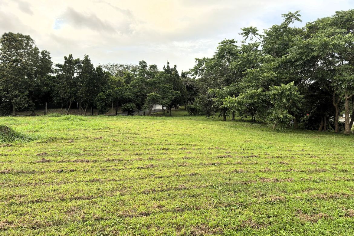 Land for Sale in Santo Domingo, Santa Rosa, Laguna – photo 4