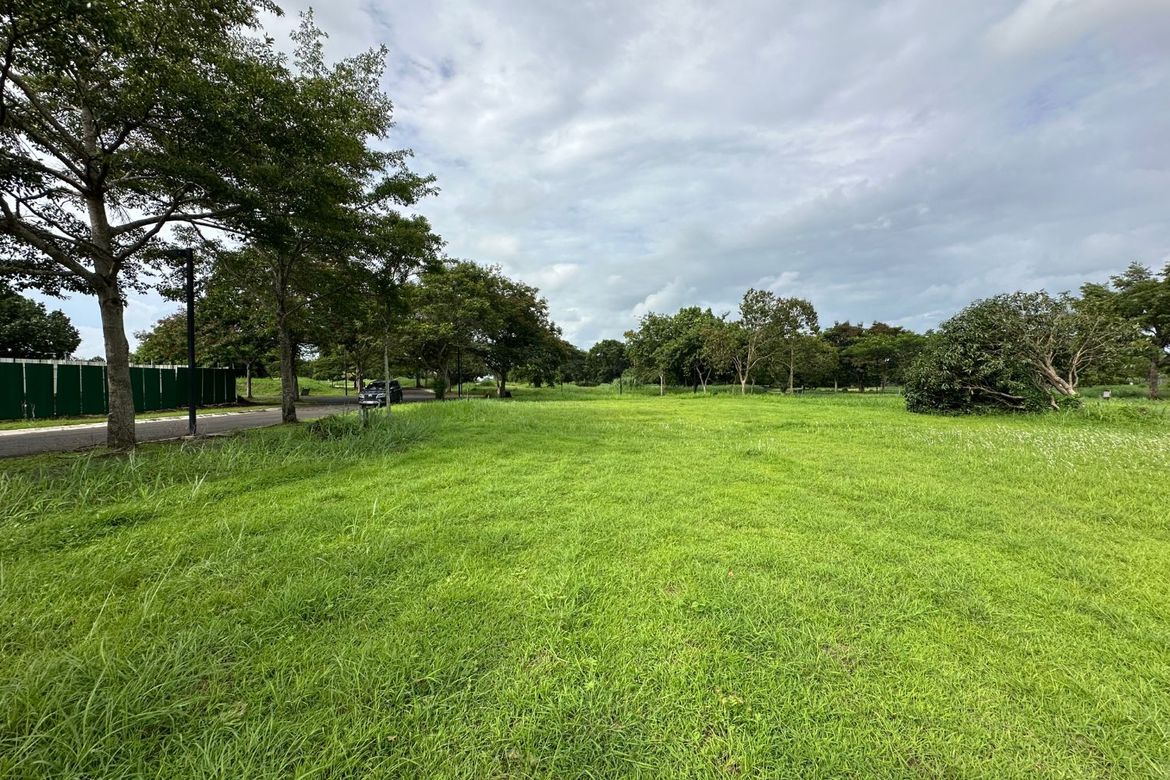 Land for Sale in Santo Domingo, Santa Rosa, Laguna – photo 4