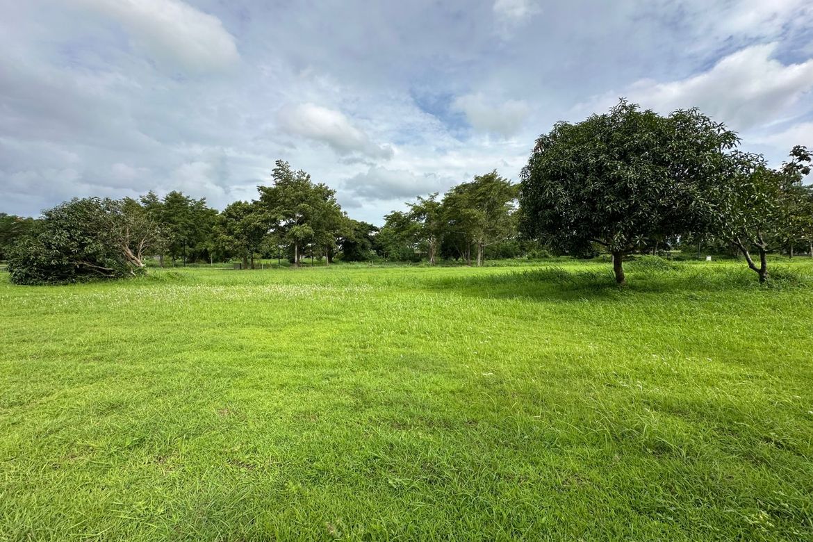 Land for Sale in Santo Domingo, Santa Rosa, Laguna – photo 5