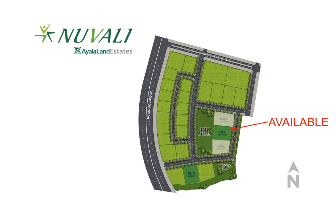 Land for Sale in Santo Domingo, Santa Rosa, Laguna