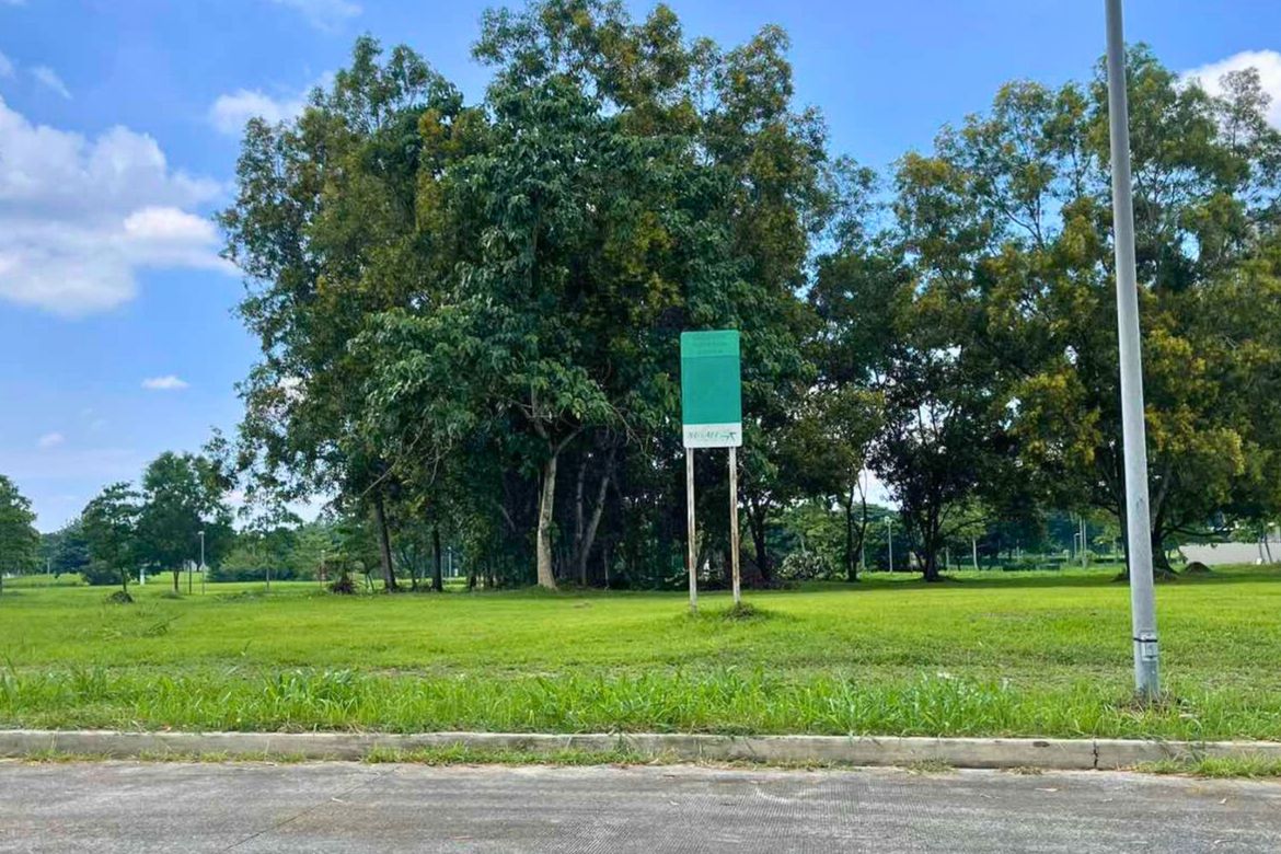 Land for Sale in Santo Domingo, Santa Rosa, Laguna – photo 5