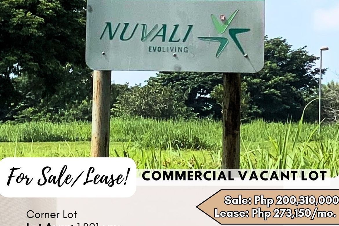 Land for Sale in Santo Domingo, Santa Rosa, Laguna