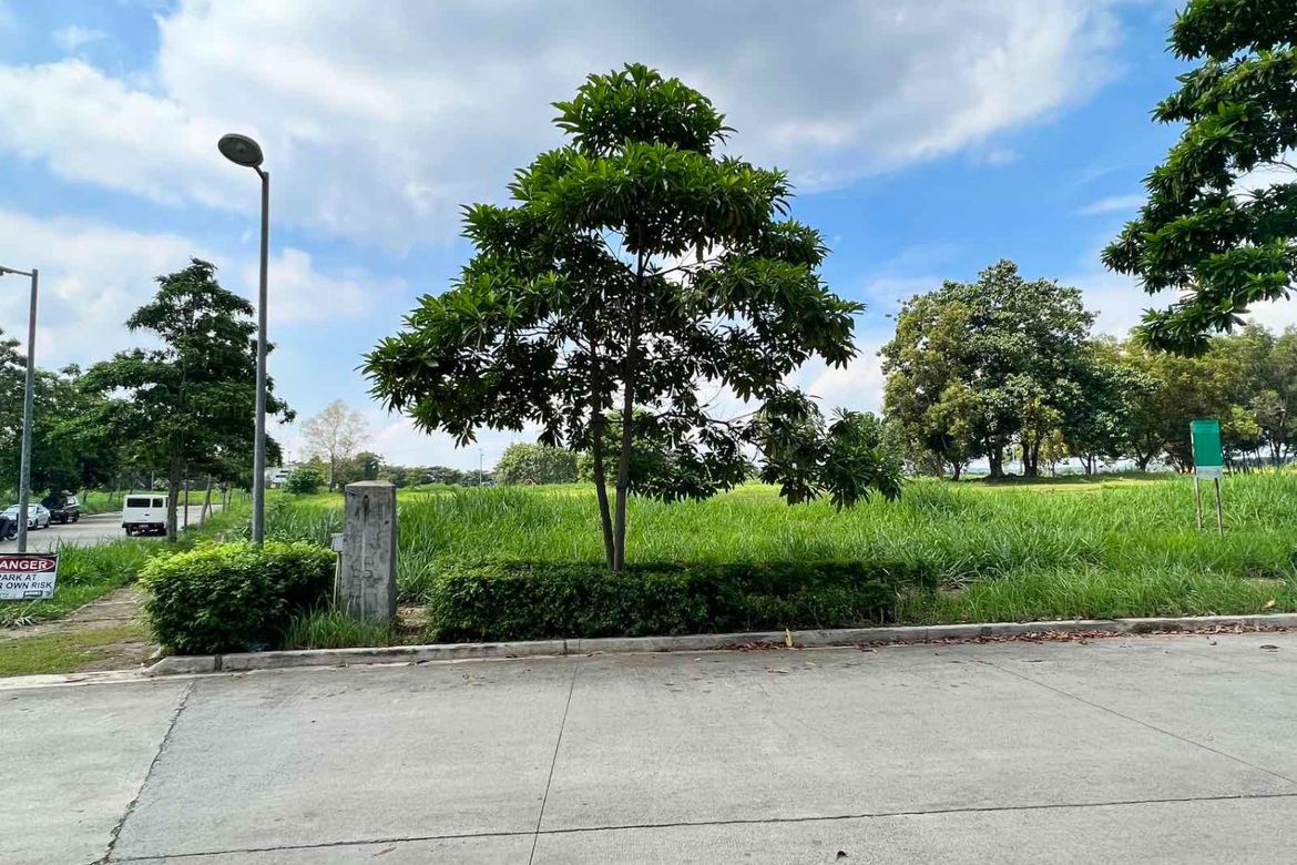Land for Sale in Santo Domingo, Santa Rosa, Laguna – photo 3