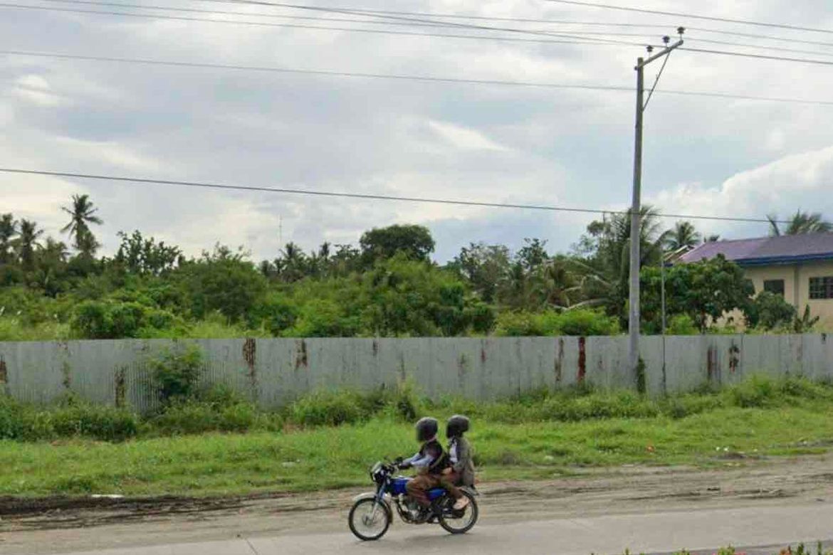 Land for Sale in Santo Niño, Carmen, Davao del Norte – photo 4